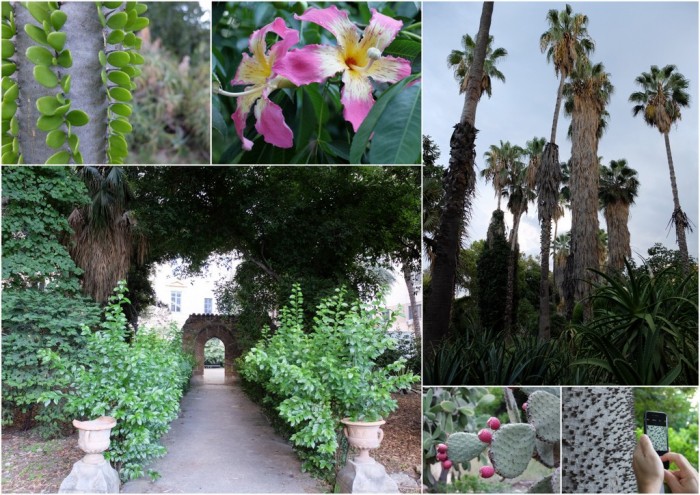 Botanical Gardens, Palermo