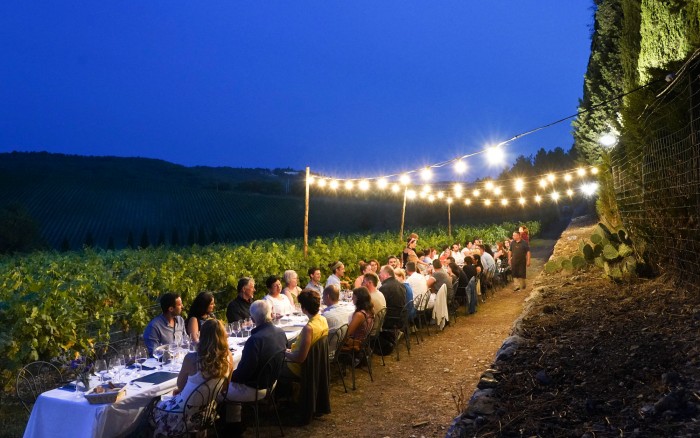 Dinner in a vineyard at the blue hour