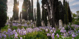 English cemetary in florence