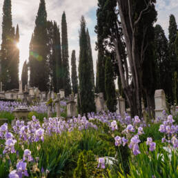 English cemetary in florence